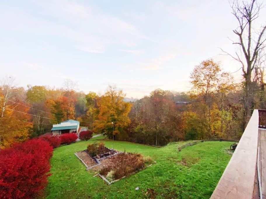 Dog Friendly! Views! Hot Tub! Close To Pf! Gsmnp Sevierville Dış mekan fotoğraf